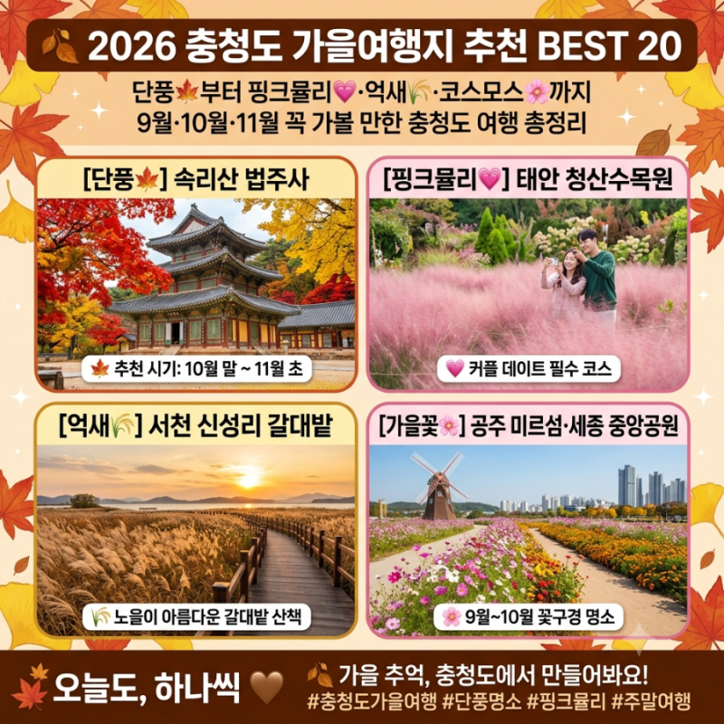 2026 충청도 가을여행지 추천 BEST 20 단풍부터 핑크뮬리·억새·코스모스까지 9월·10월·11월 꼭 ....