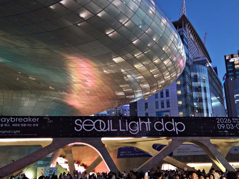 서울미디어아트 서울라이트 DDP 가을 꼭 보러가세요