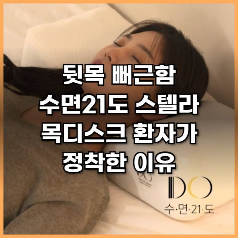 뒷목 뻐근함 수면21도 스텔라 목디스크 환자가 정착한 이유