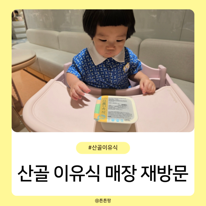 산골 이유식 매장 롯데백화점 서울 명동 완료기 진밥 과일참 구입 후기