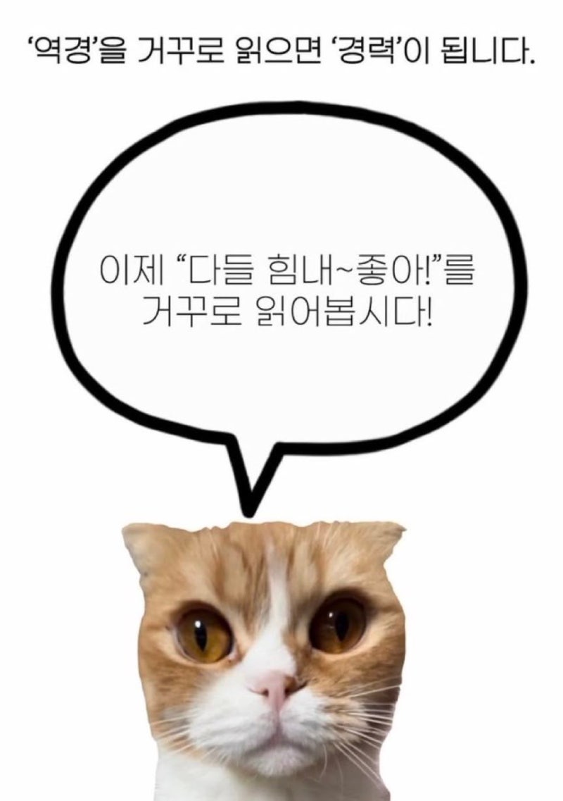 09] 마운자로는 1주차가 제일 힘들어