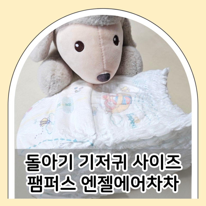 여름 기저귀 팸퍼스 엔젤에어차차 돌아기 5단계 후기
