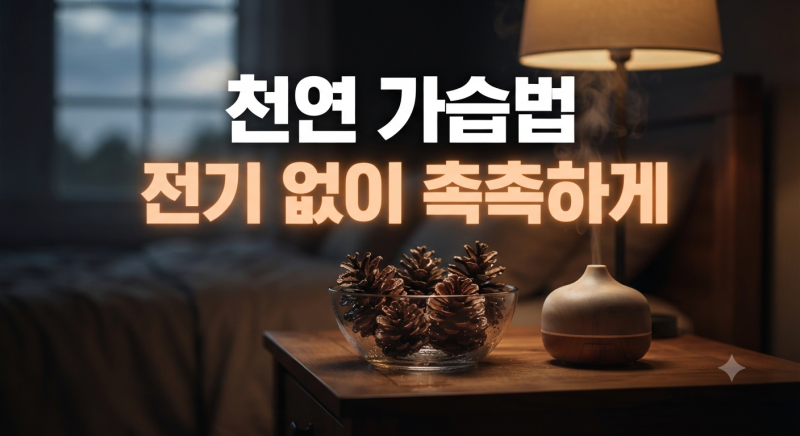 가습기 세척 걱정 끝! 집에서 쉽게 실내 습도 높이는 자연 가습법
