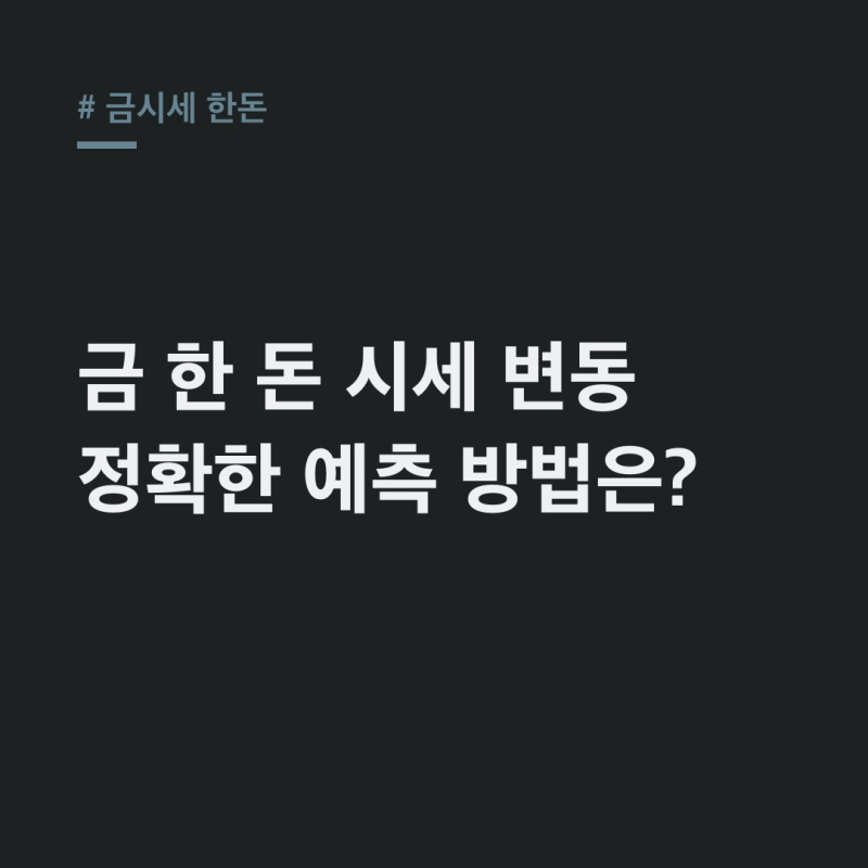 금시세 한돈 24K 18K, 시세 변동과 예측 가이드