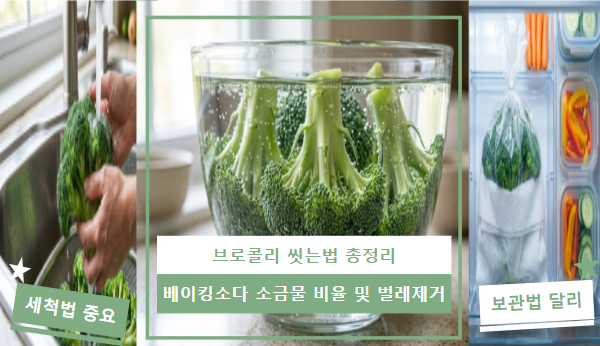 브로콜리 씻는법 총정리 | 베이킹소다 소금물 비율 및 벌레 제거법