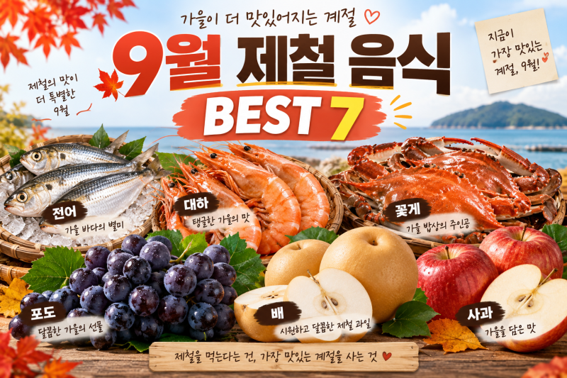 9월에 꼭 먹어야 하는 제철 음식 BEST 7가을이 시작되면 맛도 제대로 올라옵니다