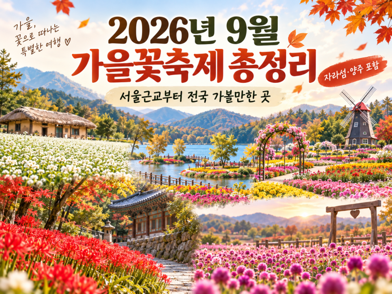 2026년 9월 가을꽃축제 총정리｜서울 근교부터 전국 가볼 만한 곳