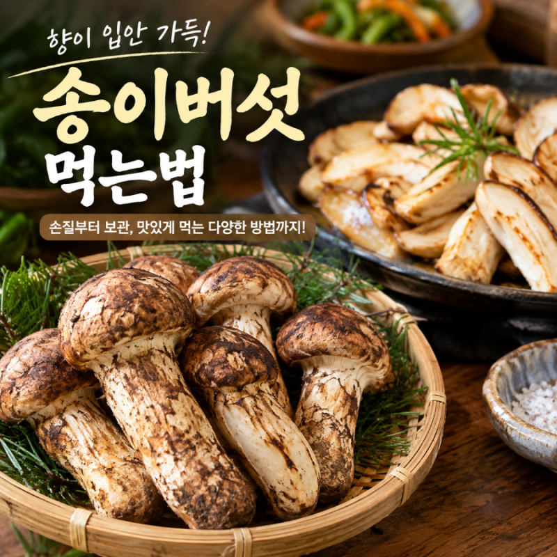 송이버섯먹는법, 향 제대로 살리는 방법부터 손질·보관법