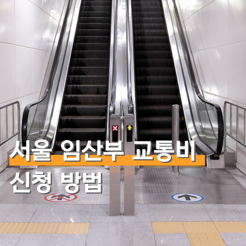 서울시 임산부 교통비 지원 신청 방법 사용처 알아보기
