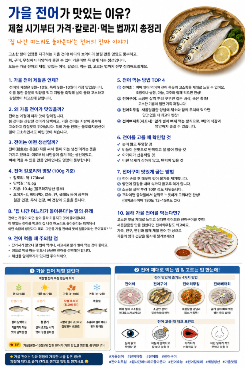 가을 전어가 맛있는 이유? 제철 시기부터 먹는 법·고르는 법까지 총정리
