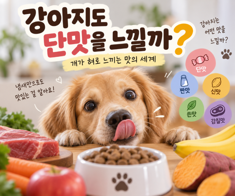 강아지도 단맛을 느낄까? 개가 혀로 느끼는 맛의 세계