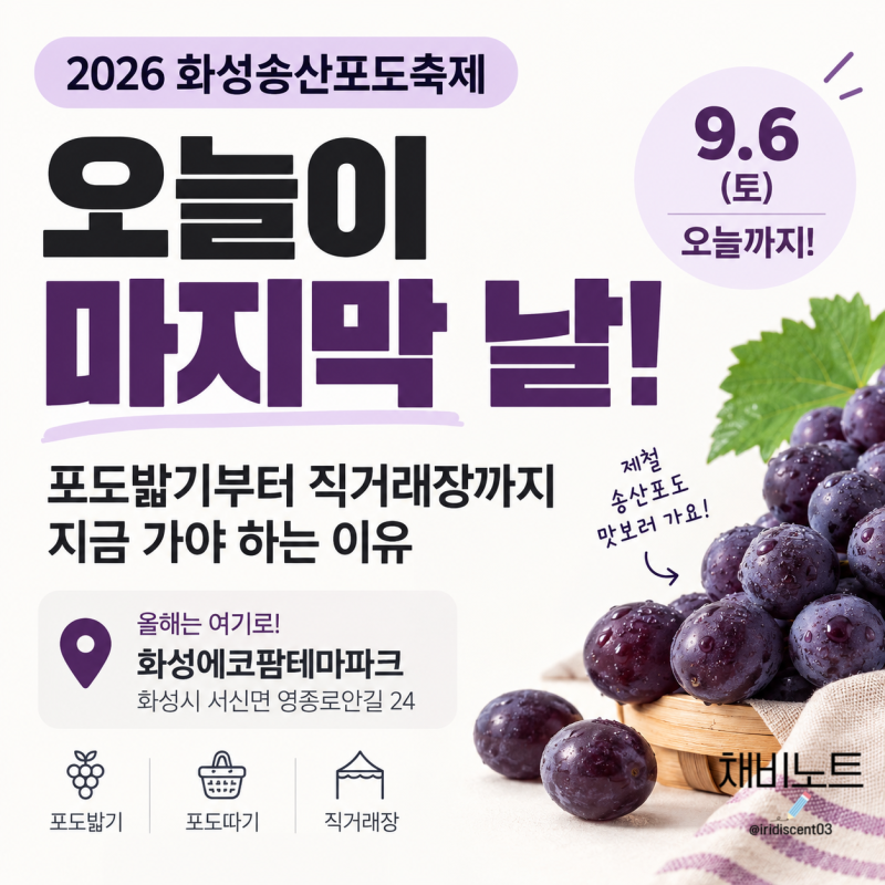 “오늘이 마지막” 2026 화성송산포도축제, 포도밟기까지 즐기는 방법