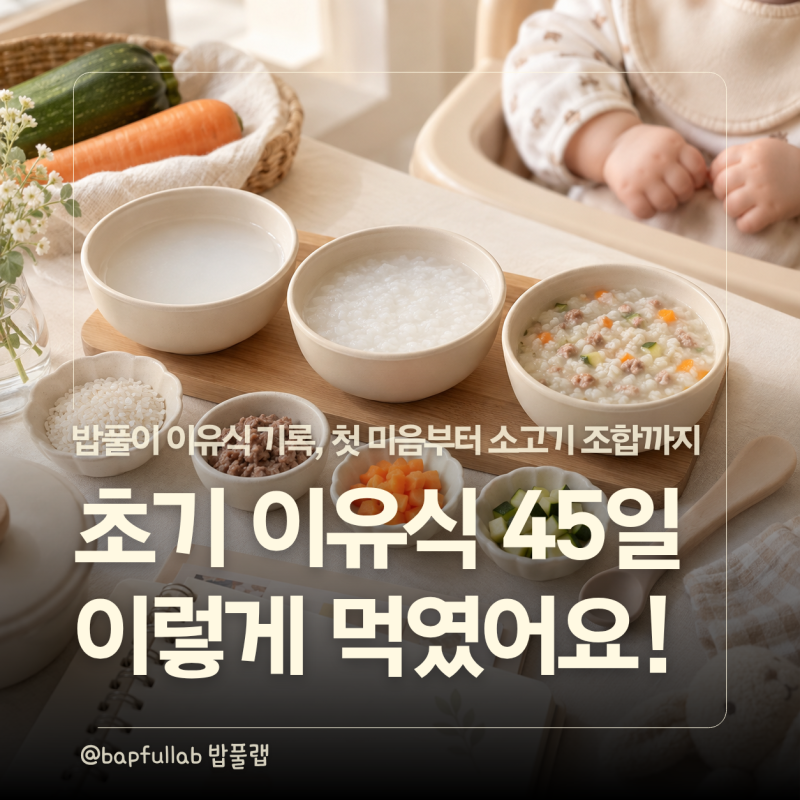 초기 이유식, 첫 미음부터 소고기까지 어떻게 진행했을까? 밥풀이 45일 기록 (PDF 자료 나눔)