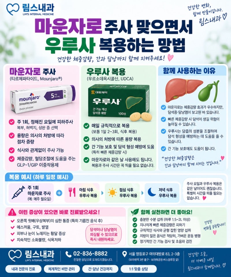마운자로와 우루사(UDCA)