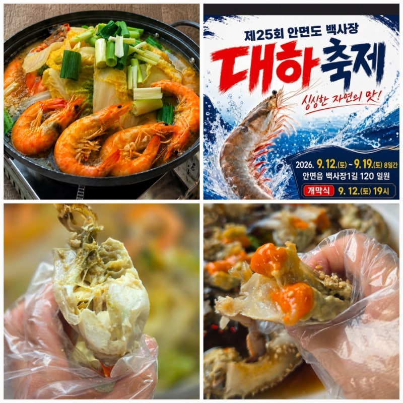 2026 안면도 백사장 대하축제 일정 개막식 게국지 맛집까지 완벽 정리!
