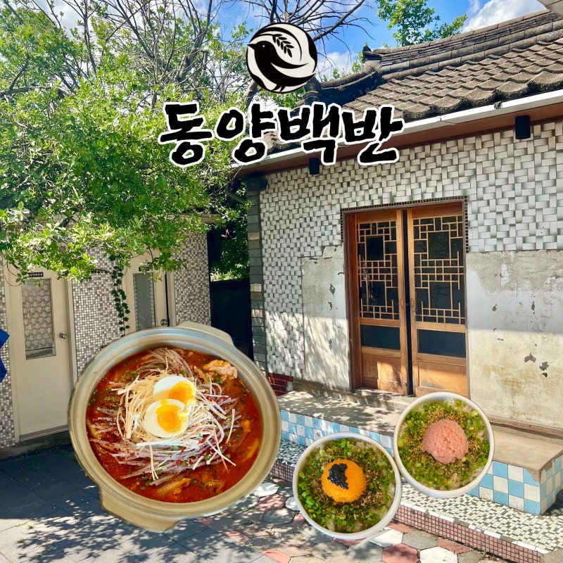 경주 황리단길 맛집 한식 동양백반 | 경주여행 이색 메뉴 찾고있다면 추천