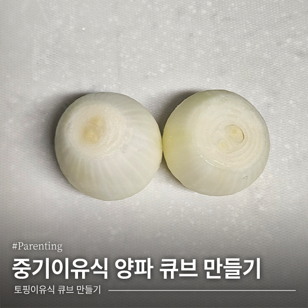 [이유식] 중기이유식 양파 큐브 만들기