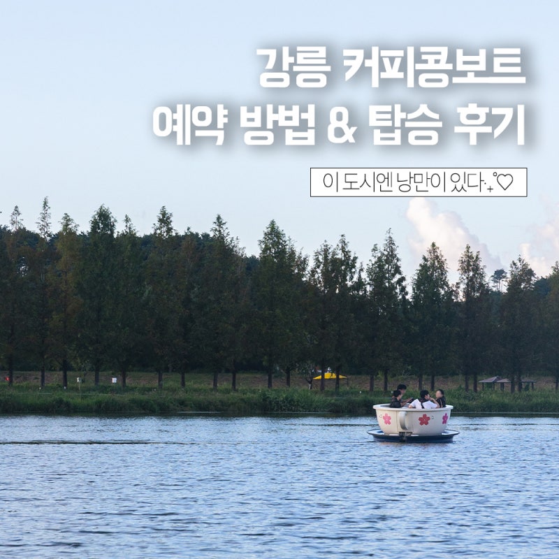 강릉 여행 가볼만한곳 추천｜커피콩보트 예약방법 & 후기