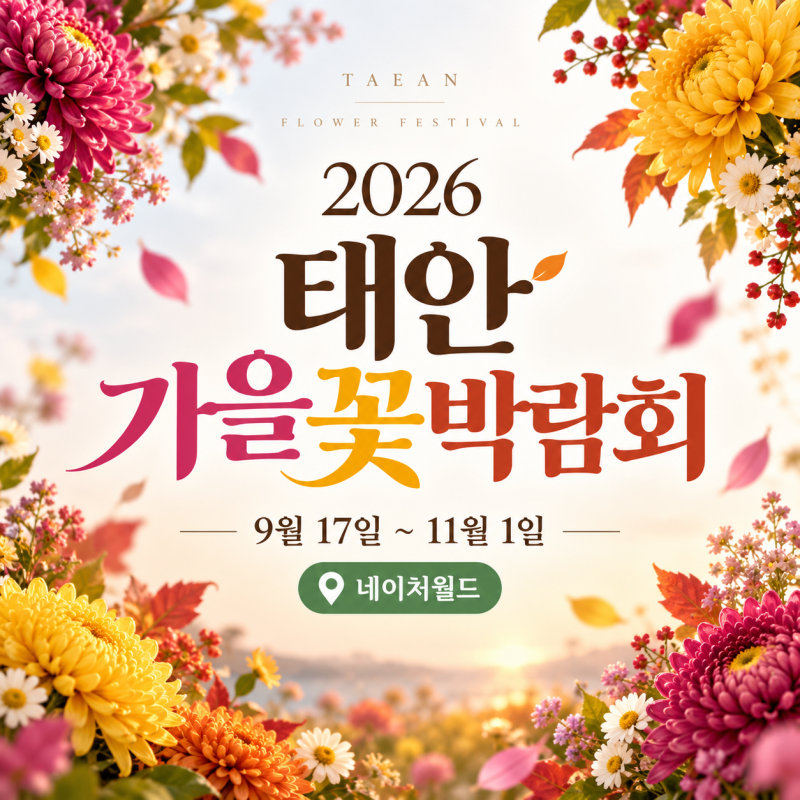 2026 태안 가을꽃박람회 9월 17일 개막｜네이처월드 가을꽃 보러 갈 때