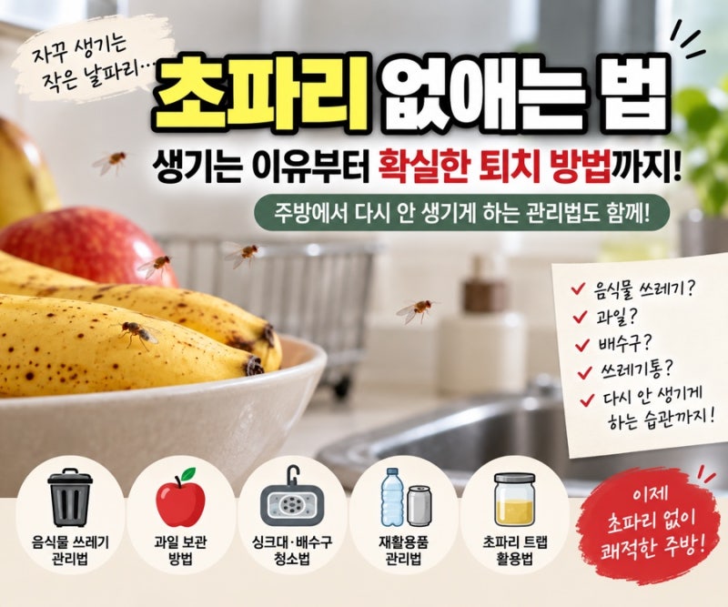 초파리 없애는 법｜집에 날파리 생기는 이유와 확실한 퇴치 방법