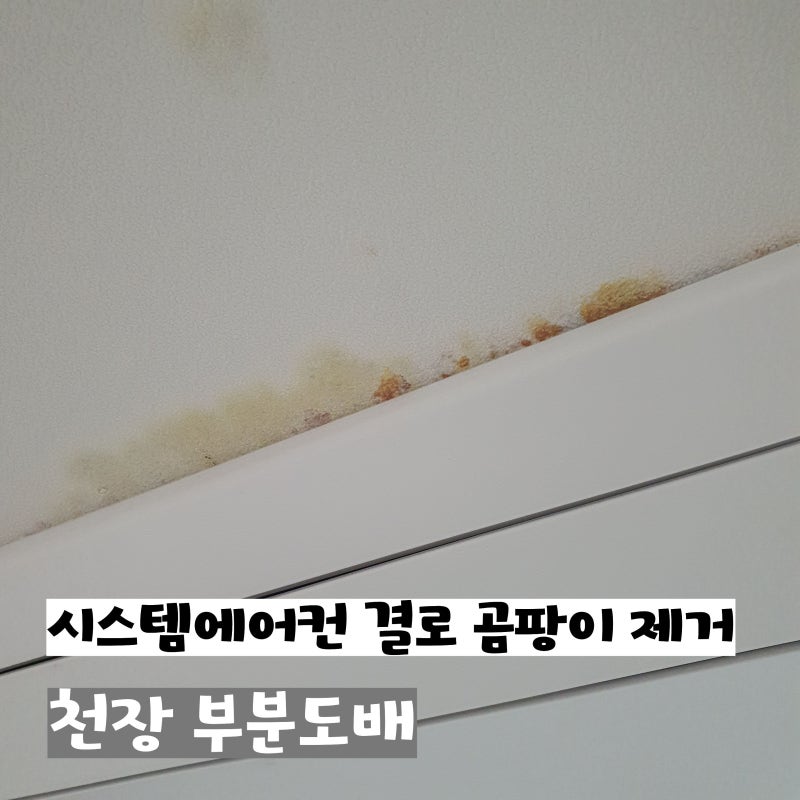 안방 시스템에어컨 결로 곰팡이 제거｜바람날개 방향으로 생긴 천장 곰팡이 부분도배