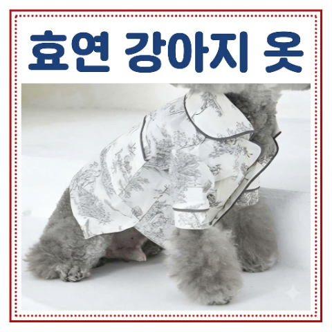 효연 강아지 옷. 럭셔리 고가 반려견 잠옷 얼마? 프랑스 감성 파자마. 전참시 전지적 참견시....