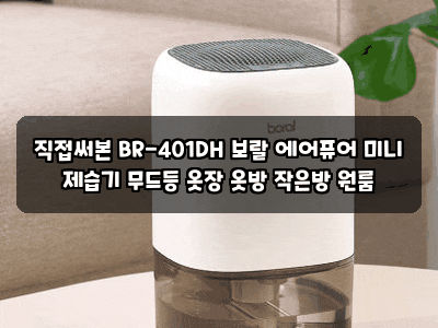 직접써본 BR-401DH 보랄 에어퓨어 미니 제습기 무드등 옷장 옷방 작은방 원룸