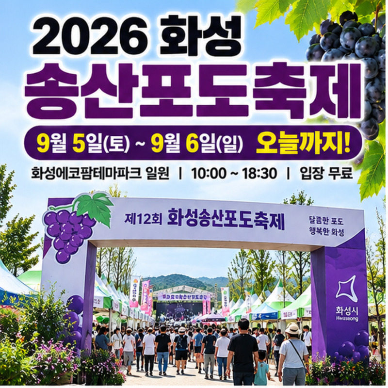 2026 화성송산포도축제 오늘까지! 포도따기·포도밟기부터 먹거리까지 총정리
