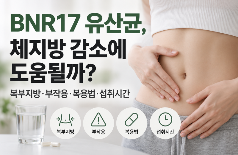 BNR17 유산균, 체지방 감소에 도움될까? 복부지방·부작용·복용법·섭취시간