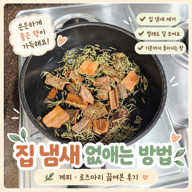 집 냄새 없애는 방법｜계피·로즈마리 끓여본 후기, 벌레도 덜 보여요