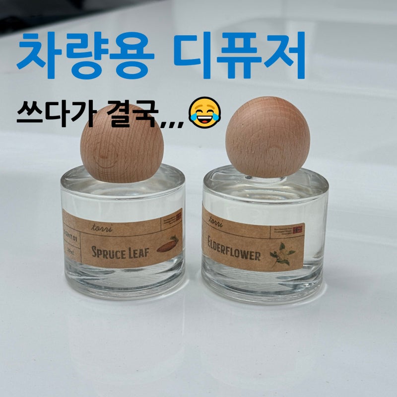 토리 노르웨이 숲 디퓨저 후기｜은은한 차량용 방향제, 2주 사용해본 솔직 후기