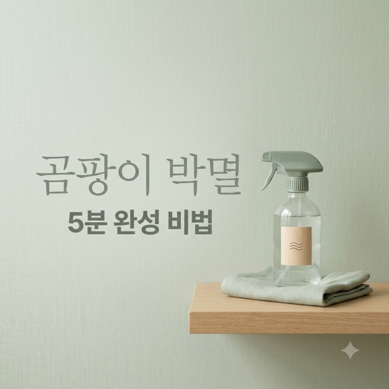 "닦아도 또 생기더니.." 실크벽지 곰팡이 제거, 5분 만에 해결한 비결..