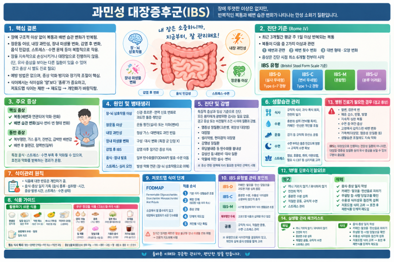 과민성 대장증후군(IBS) 증상·원인·생활관리·저포드맵 식단