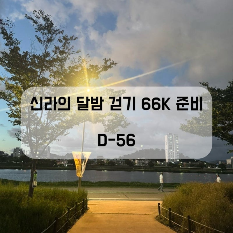 오전 태화강 걷기 D-56｜경주 신라의 달밤 걷기 66K 준비
