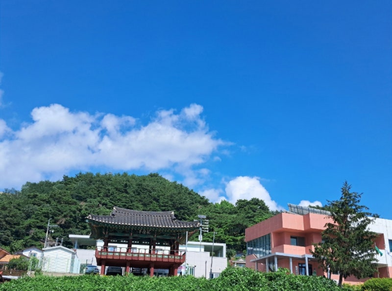 시민안전 배상 보험 알고 계셨나요?
