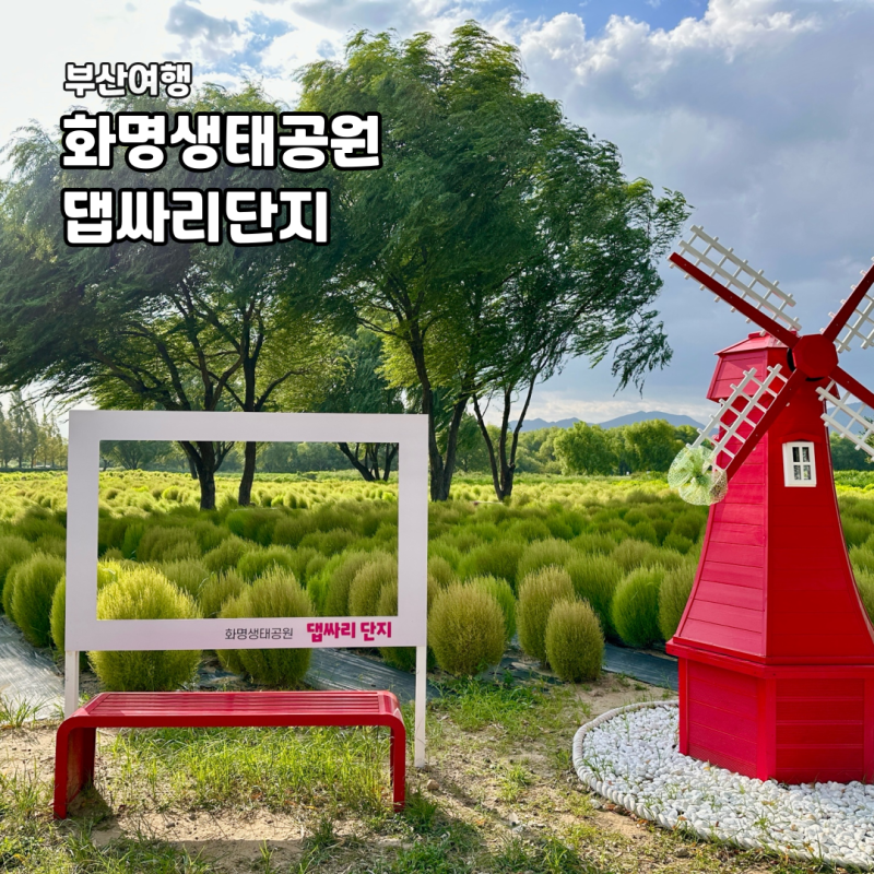 부산 화명생태공원 9월 가을 나들이 댑싸리 백일홍 코스