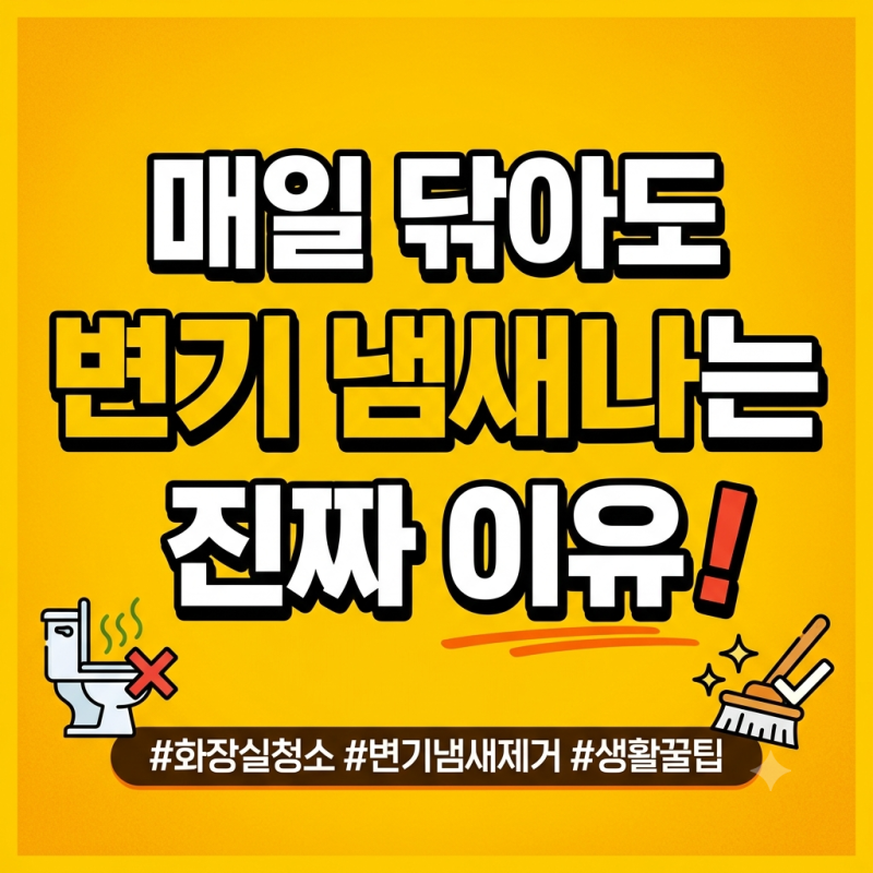 변기 냄새 제거, 매일 락스 청소해도 악취 나는 원인과 확실한 해결법