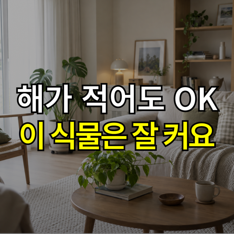 “햇빛이 부족해도 키울 수 있을까?” 실내 음지 식물, 반그늘에서 잘 자라는 꽃