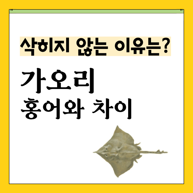 삭혀 먹는 홍어, 안 삭히는 가오리 이유가 무엇일까? 가오리 칼로리 영양성분 가오리찜 레시....