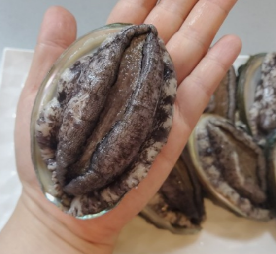 완도전복 활전복 1kg 명절 선물세트 추천