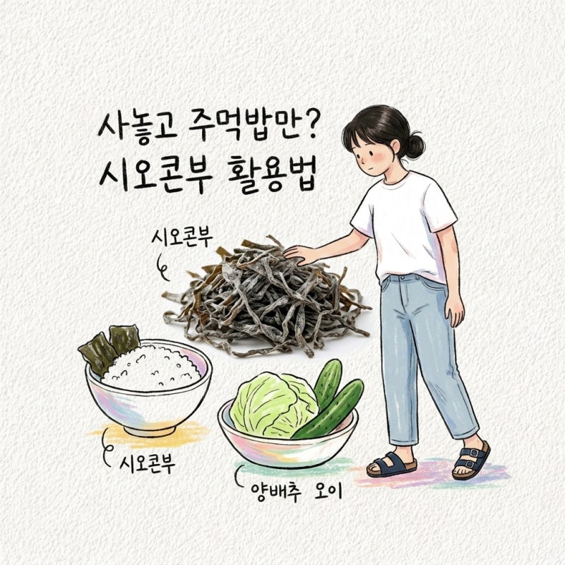 시오콘부 양배추 오이 맛 활용법 보관 뜻