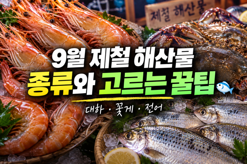 9월에 이거 안 먹으면 1년 내내 후회해요! (실패 없는 9월 제철 해산물 TOP 3)