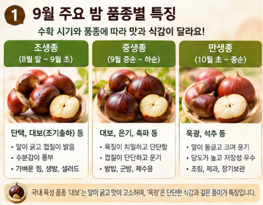 가을 햇밤 고르는 법｜공주·부여 밤이 유명한 이유와 벌레 먹지 않은 알밤 선별·보관 꿀팁