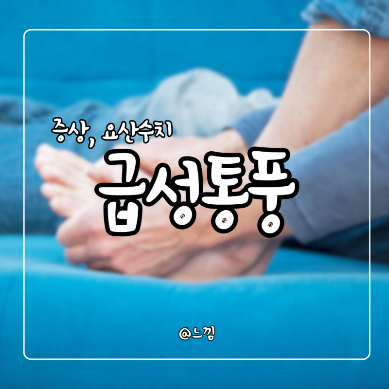 통풍 급성통풍 증상 원인 요산수치 검사 치료