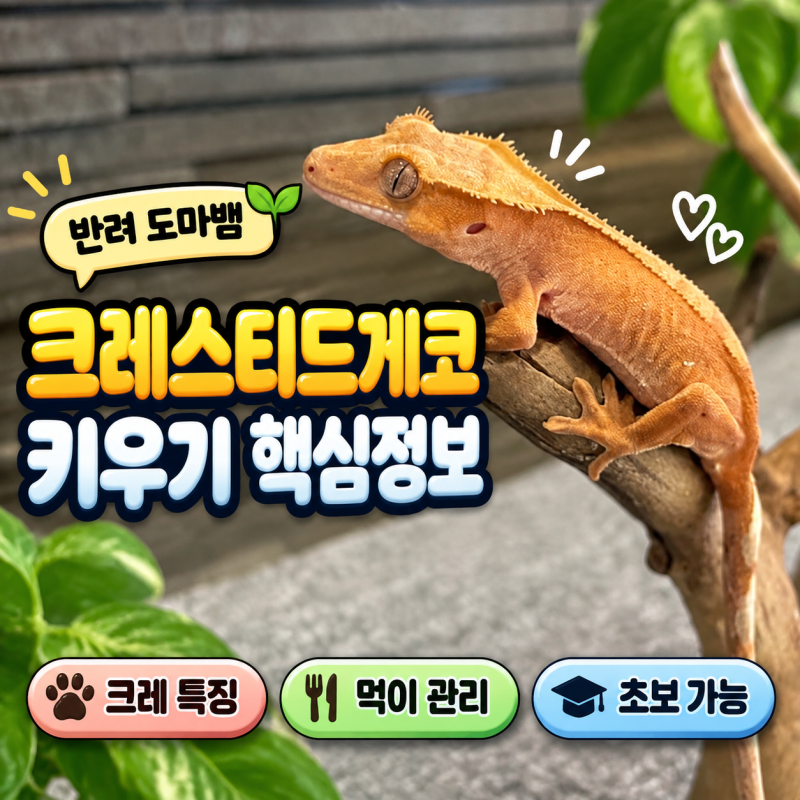 크레스티드게코 도마뱀 키우기, 초보자가 알아야 할 특징 5가지