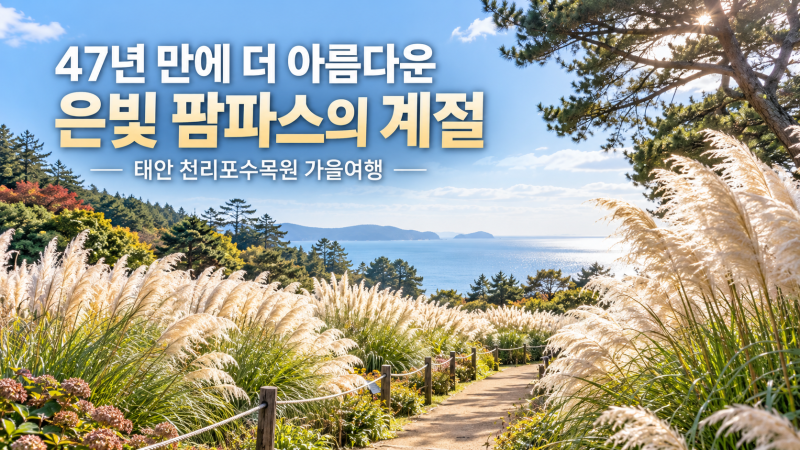 [태안 가볼만한곳] 47년 이어온 은빛 팜파스, 바다와 맞닿은 천리포수목원 가을 여행