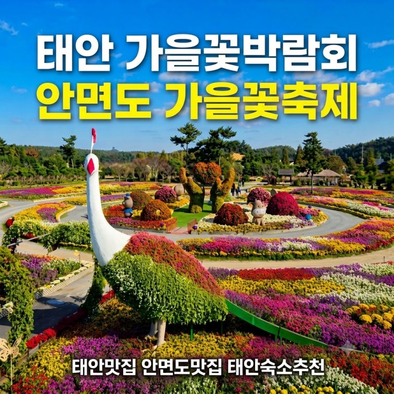 2026 태안 가을꽃박람회 태안 가을꽃축제 일정 태안숙소 안면도 숙박 추천
