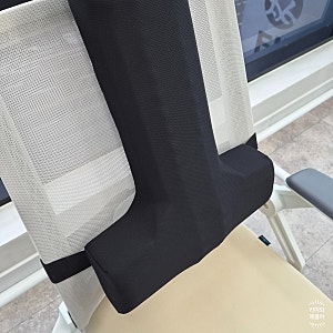 의자 허리쿠션 추천 발란스코드 카이로프랙틱쿠션 후기