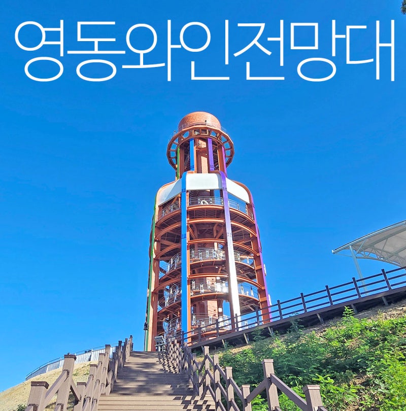 충북 영동 가볼만한곳 레인보우 힐링관광지 영동와인전망대