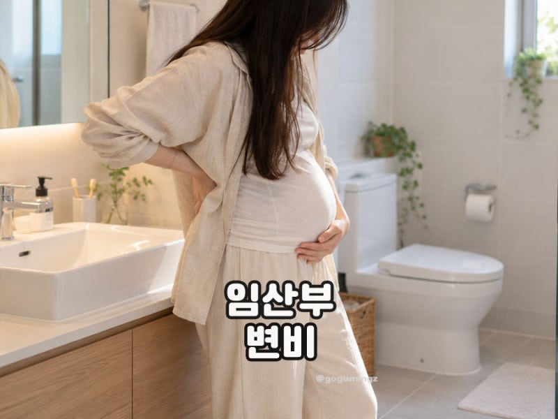 임산부변비 해결 음식 추천, 유산균과 철분제 섭취는?